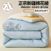 Colcha de Algodón de Xinjiang Grado Madre y Bebé Clase A Colcha para Dormitorio Estudiantil Primavera y Otoño Colcha Engrosada Cálida Colcha de Invierno Núcleo de Colcha Sábana Bajera Ropa de Cama