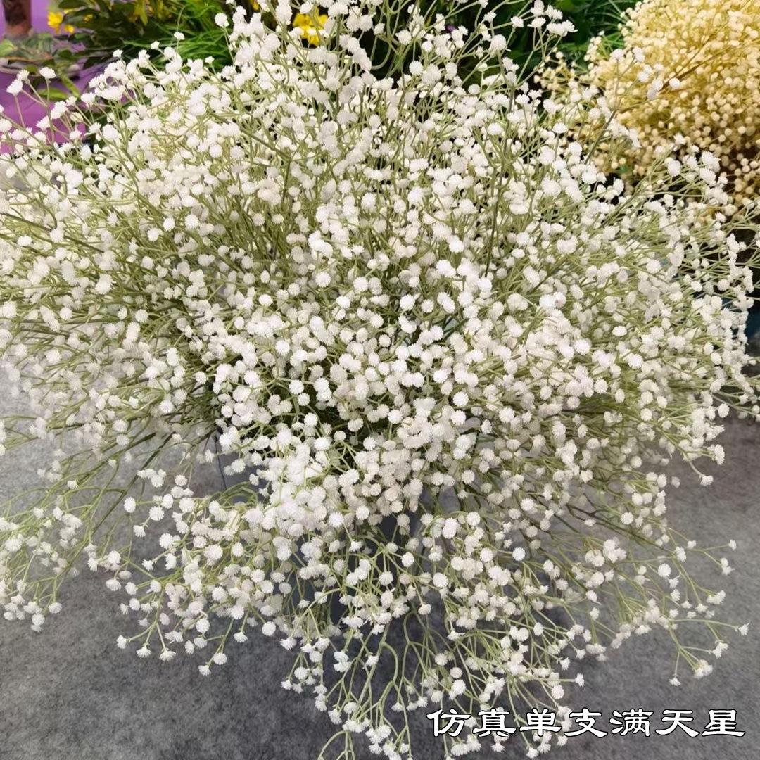 微信图片_20210804143000_副本.jpg