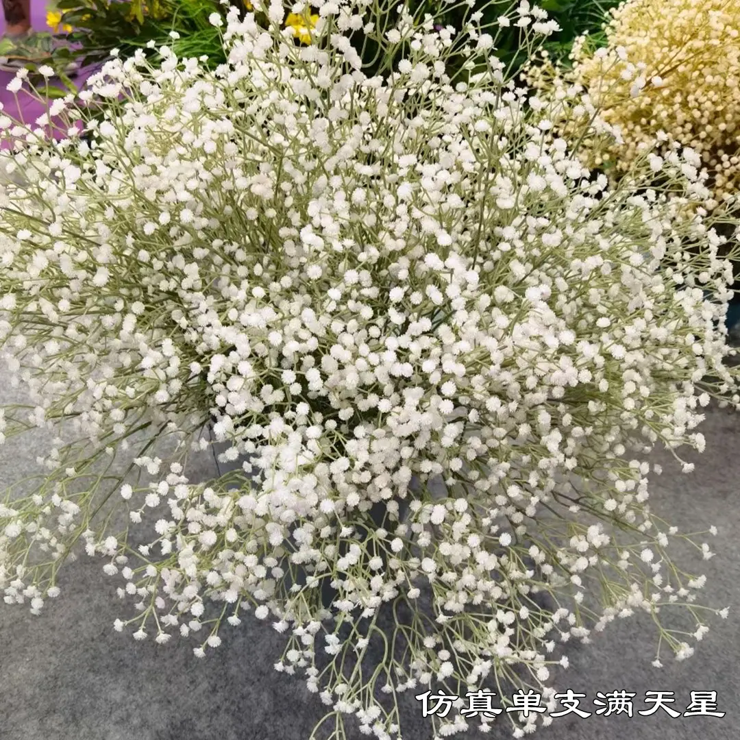微信图片_20210804143000_副本.jpg