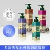 Shampoo de Artemísia Qingchen Processado e Personalizado Shampoo Sabonete Shampoo Creme Óleo Vegetal Controle de Oleosidade Anticaspa Shampoo de Artemísia