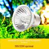 Tartaruga Luz de Fundo Solar uva Luz 50W uvb Aquecimento para Répteis Luz Solar Luz para Pet Suprimentos para Répteis Luz para Répteis
