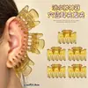 Grampo de Cabelo com Acuponto Clipe de Orelha com Acuponto Clipe Pequeno Clipe de Osso da Orelha para Beleza Clipe Artefato de Orelha Tamanho Pequeno Especial para Mulheres Clipe Pinça de Cabelo