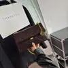 Bolso de textura de moda para mujer, nuevo bolso de moda acolchado con cadena para principios de otoño de 2026, bolso de hombro y cruzado de nicho para damas
