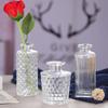 Vaso de Vidro Escandinavo Simples Vaso de Flores Hidropônico Mesa Pequeno Vaso de Flores Secas Frescas Ornamentos Decorativos