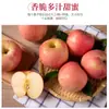 [Rayas de Nieve Ligera] Manzana Auténtica de Yantai Qixia Red Fuji Crujiente Dulce Fruta Fresca Caja Completa Directamente del Origen