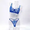 Lencería Sexy de Encaje Hueco Estilo Europeo y Americano para Mujer, Ligera y Transparente, Disponible en Múltiples Colores y Tallas, Conjunto de Sujetador Que Hace que los Bustos Grandes Parezcan Más Pequeños