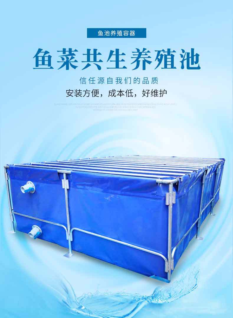 鱼菜共生养殖池_01.jpg