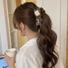 Presilha Grande para Rabo de Cavalo Alto, Volume Capilar Grande, Presilha Torcida, Presilha de Cabelo para Mulheres, Parte de Trás da Cabeça, Novo Estilo 2026, Presilha Banana, Presilha Vertical, Grampo de Cabelo