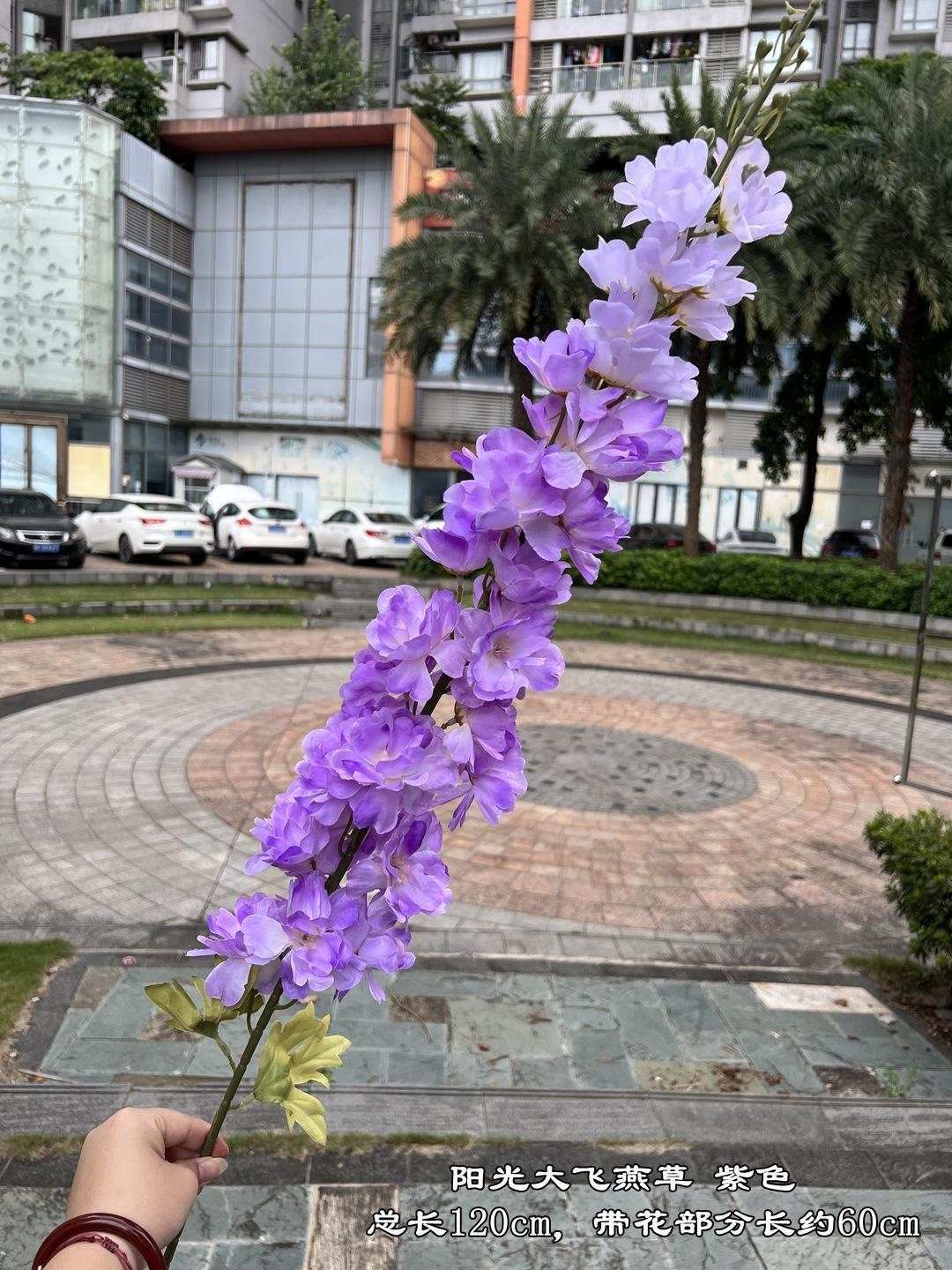 微信图片_20230801184909.jpg