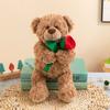 Muñeco Oso de Peluche Oso Flor Oso de Peluche Oso Pareja Oso del Cuidado Oso Regalo de Confesión Lote de Muñecos Oso