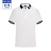 Verão Enterprise Work Clothes Custom Printing logo Work Clothes Factory Clothes Activity Cultura Camisa Bordada Homens Negócios Manga Curta