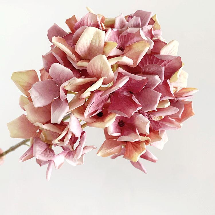 QQ图片20220713120923