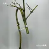 Suporte de bambu para incenso em formato de dragão, matéria-prima brotos de bambu, materiais de bambu DIY feitos à mão, porta-incenso de cabeça de dragão, bambu maciço, bambu oco
