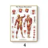 Pintura em Tela Poster de Anatomia Humana Músculos Mapa Humano Arte Imagem Ciência Sala Médica Pintura Decorativa Núcleo