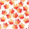 Contas de Vidro Flor de Cerejeira Degradê Suporte de Flores Transparente Flor de Cinco Pétalas com Furo Pétalas Contas Pulseira Feita à Mão DIY Acessórios de Joias