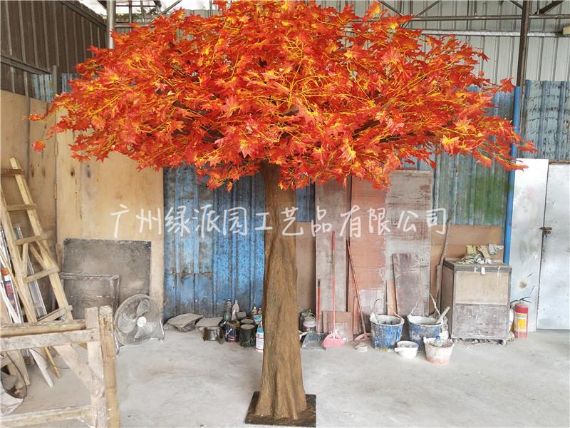 枫树C12.jpg
