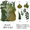 Pacote Combinado de 12 Folhas Verdes Pacote de Material de Folha Espécime de Folha Real Material de Planta com Flor Marcador de Página Folha DIY