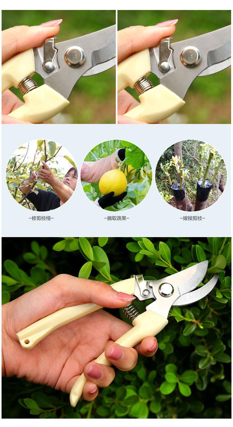 O1CN01xTLhS32IYXgsBgkip_!!3609729298-0-c