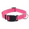Coleira Ajustável para Cachorro de Animal de Estimação Transfronteiriça, Coleira de Nylon de Cor Sólida para Cachorro, Coleira para Passeio de Cachorro, Suprimentos para Animais de Estimação Atacado em Estoque