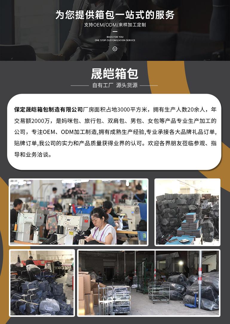 晟皑海报(1)