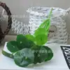 Folha de moeda de cobre de 12 galhos, mini folha de lótus, planta de parede, bonsai, grama para grampo de cabelo, artesanato, decoração de interior, inserção de grama para aquário