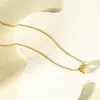 Estilo Influencer de Tiktok Diseño de Nicho Collar de Zirconia para Mujer Cadena para Suéter de Plata de Ley S925 Joyería de Alta Gama