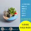 Actividad de Nuevo Producto Kit de Materiales DIY Micro-Paisaje de Musgo Botella de Vidrio Suculenta Hecha a Mano Planta Verde Planta en Maceta Set de Regalo