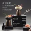Conjunto de Presente Elegante com Pedra Difusora de Fragrância, Decoração Aromaterápica Sem Chama de Longa Duração com Óleo Essencial para Casa, Pequeno Conjunto de Presente para Inauguração de Casa
