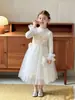 Vestido de Princesa Infantil de Manga Longa, Vestido de Tule com Babados Florais para Meninas, Vestuário Infantil de Comércio Exterior Transfronteiriço