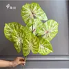 Flores Artificiales de Gran Venta Transfronteriza: Semillas de Hojas de Caladio de Colores de 7 Ramas, Caladio de Hoja Grande, Semillas de Caladio Bicolor, Flores de Maceta de Cuatro Estaciones, Flores Artificiales