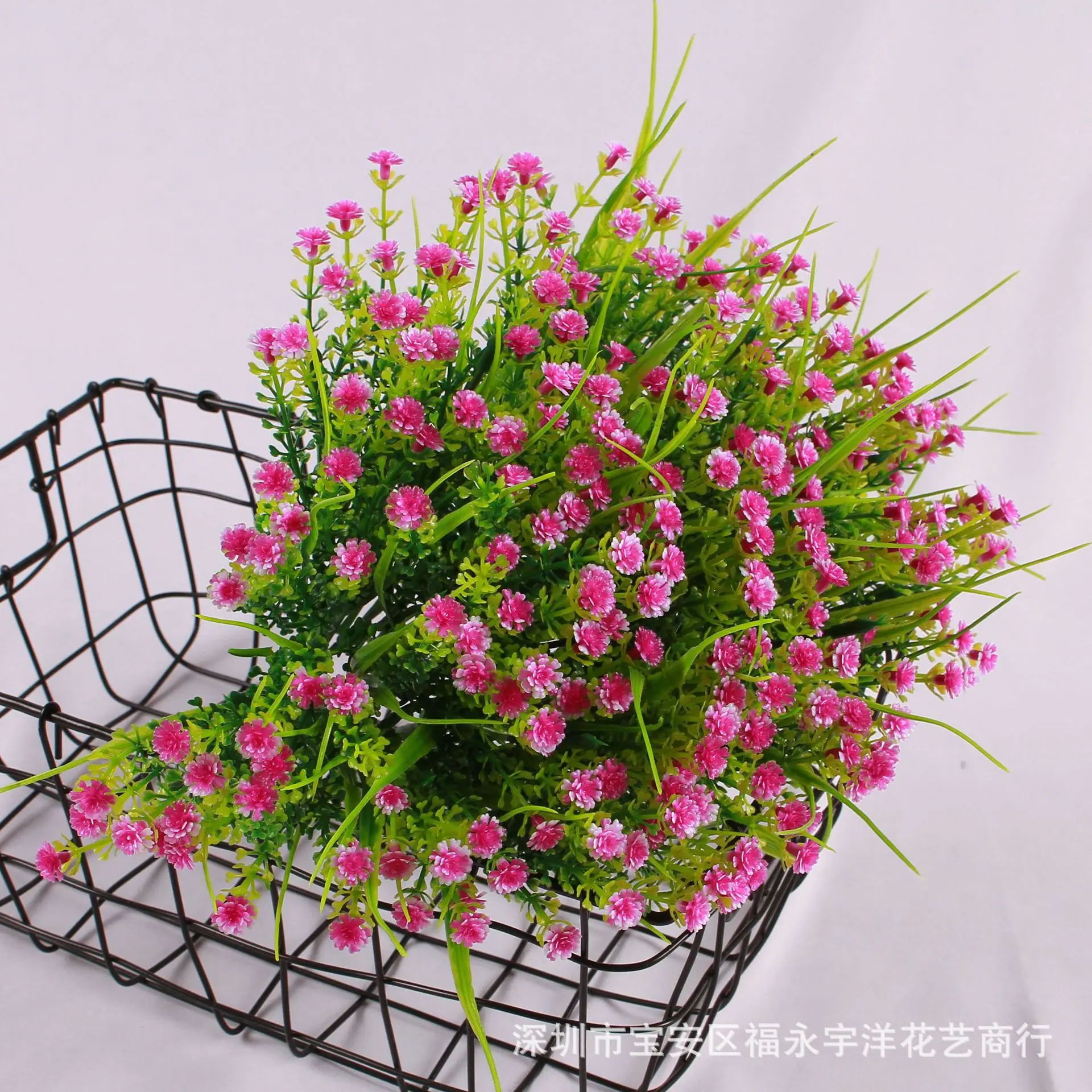 IMG_9015_副本.jpg