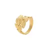 Anillo de Acero de Titanio Retro con Calados Transfronterizos Estilo Ins Nicho Diseño de Apertura Ajustable Simple