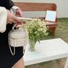 Bolso Cruzado Versátil Ins para Mujer 2026 Nuevo Bolso de Mano de Moda Bolso de Cadena Acolchado Bolso de Hombro de Nicho Clutch