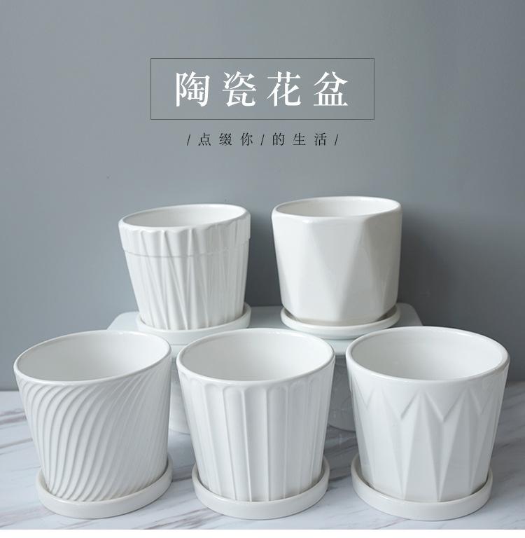 中号花盆_01