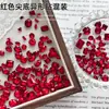 Paquete Mixto de Pedrería para Uñas con Punta Roja, Tendencia de Año Nuevo, Pedrería 3D en Forma de Corazón y de Formas Irregulares Mixtas para Decoraciones de Uñas