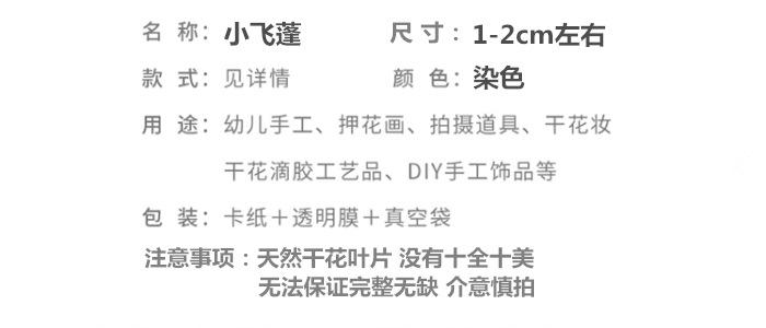 小号绣球_副本