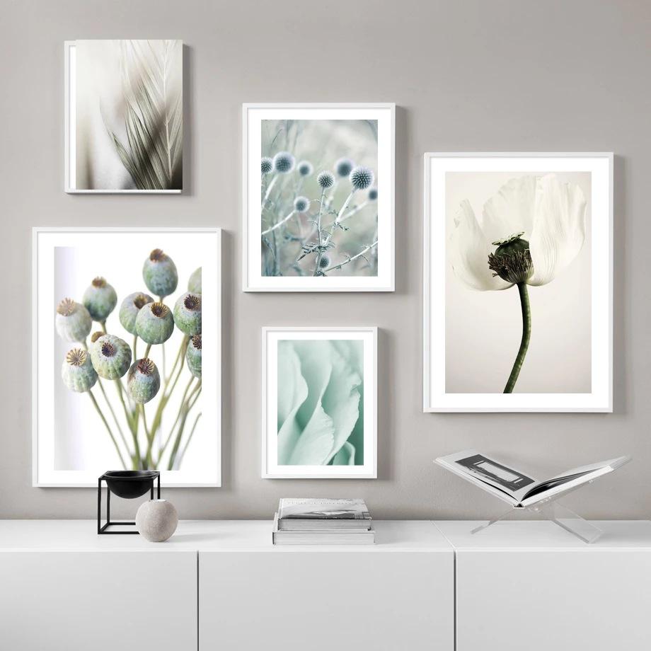 Bloom-Flower-Poppies-Misty-Pal