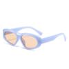 Gafas de sol ovaladas de moda casual de tendencia 2024 para viajes, fiestas y paseos, para hombres y mujeres.