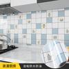 Película Protectora Estática para Pared Sin Pegamento Mate Brillante Anti-Golpes Anti-Suciedad Pegatina de Pared Transparente Película a Prueba de Polvo e Impermeable Autoadhesiva