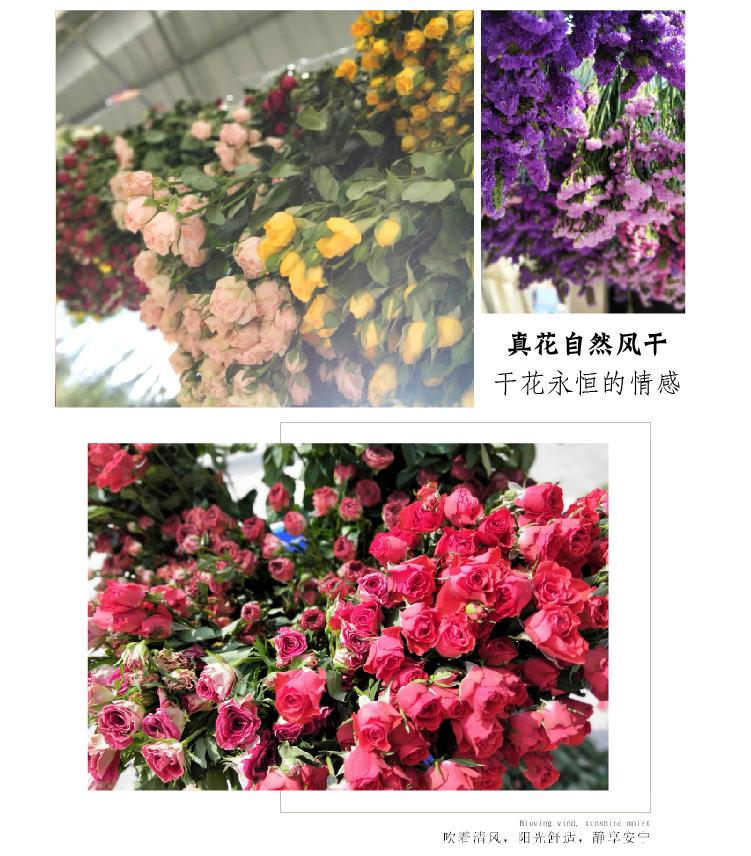 详情页11.jpg