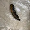 Presilha Banana de Acetato Estampada de Leopardo Retro para Cabelo de Mulheres na Parte de Trás da Cabeça, Volume Capilar de Alto Padrão, Presilha Vertical, Acessório de Cabelo para Rabo de Cavalo Alto