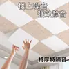 Paneles Insonorizantes, Algodón Insonorizante para Techos, Magia para Reducción de Ruido en Apartamentos, Algodón Absorbente de Sonido para Dormitorios, Fieltro Insonorizante Súper Fuerte, Pegatinas de Pared para el Hogar