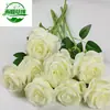 Amazon Hoja Verde Hoja Redonda Eucalipto Hoja de Sauce Enredadera Hiedra Flor Decorativa Transfronterizo Comercio Exterior Flor Artificial