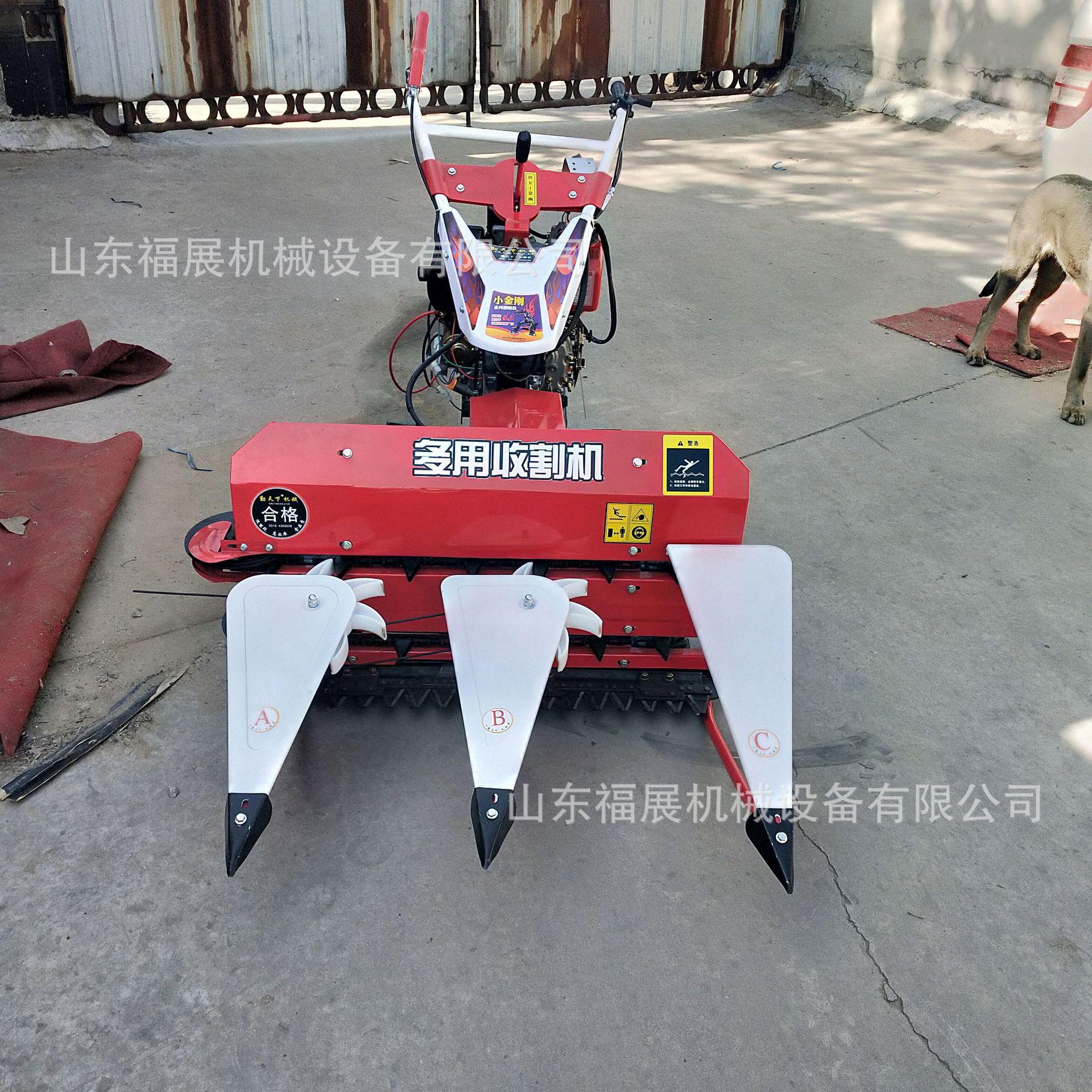 图片_2020053016405010.jpg