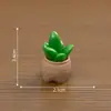 Micro-Paisagem Simulação Suculenta Barata Planta em Vaso Modelo Artesanato de Resina Criativo Micro-Paisagem Decoração de Mesa Pequenos Enfeites