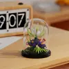 Venta al por mayor Transfronterizo Popular Flor de Rosa Bloque de Construcción Maceta de Montaje Serie Decoraciones para Sala de Estar Juguetes de Partículas Pequeñas Regalos para el Festival Qixi