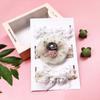 Nuevo Set de Diademas para Bebé Princesa Estilo Coreano Tocado Bebé Infantil Fontanela Cien Días de Nacido Diadema