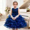 Vestido de novia infantil de Amazon, vestido grande para niña, vestido de princesa rosa para niña de las flores, disponible en stock.