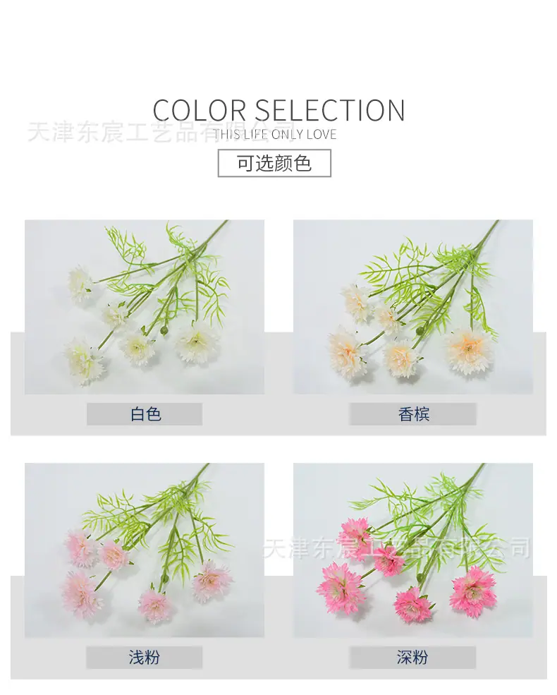 详情_02.jpg