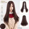 Comércio Exterior Europeu e Americano Anime COS Peruca Masculina e Feminina Figurino Antigo Styling de Performance Franja com Partição Central Cabelo Liso Longo 70cm Cobertura Completa da Cabeça